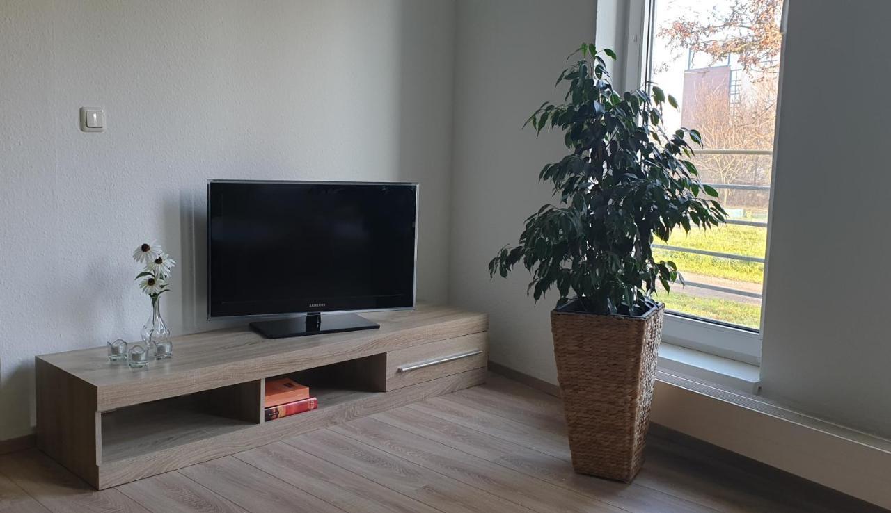 Ferienwohnung Nahe Voelkerschlachtdenkmal ライプツィヒ エクステリア 写真
